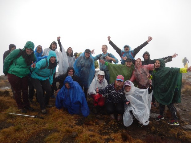 Zuid Afrika-Anita 1177