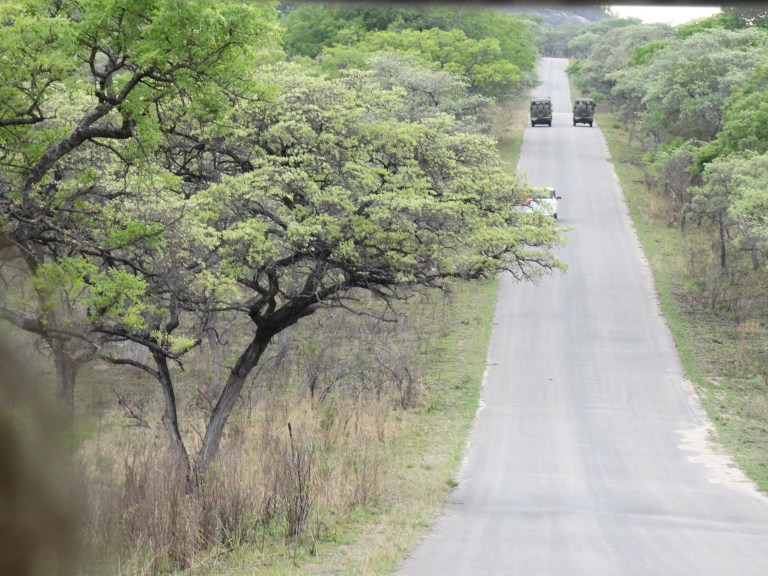 impressie Kruger (6)